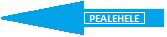 Pealeht